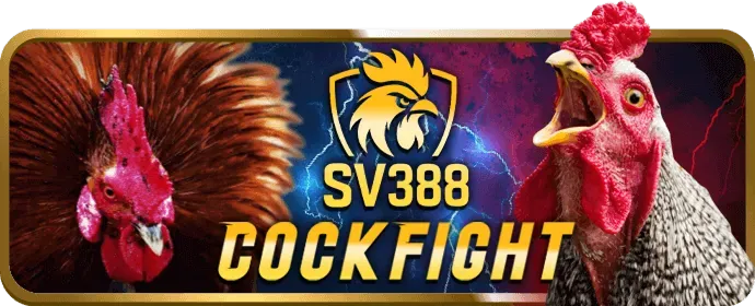 Dịch vụ chăm sóc khách hàng ưu tiên